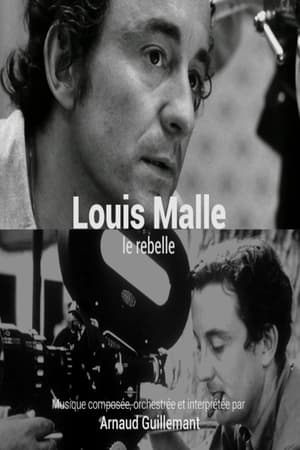 Poster Louis Malle, le rebelle 2015