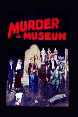 Poster The Murder in the Museum (1934)