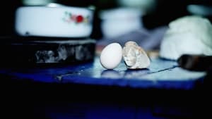 鸡蛋和石头