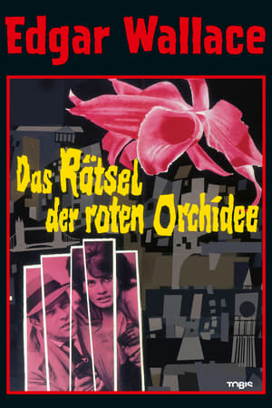 Poster Das Rätsel der roten Orchidee 1962