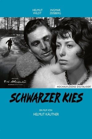 Image Schwarzer Kies