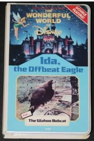 Image Ida, the Offbeat Eagle