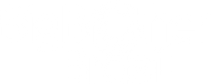 Big Brother Brasil — Logos 4