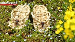 Journeys in Japan: 15×12