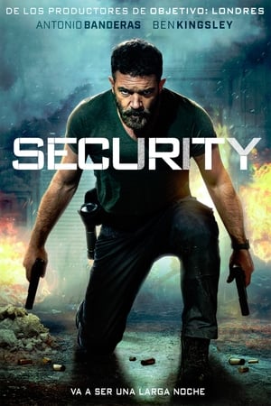 Security (2017)