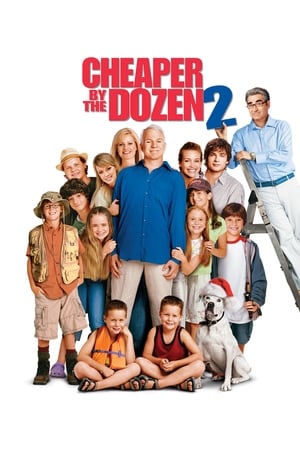 Click for trailer, plot details and rating of Cheaper By The Dozen 2 (2005)