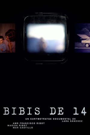 Poster di Bibis de 14