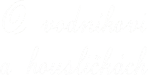 O vodníkovi a housličkách