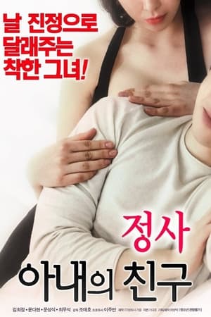 Poster An Affair: My Wife's Friend (2018)