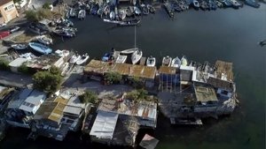 Tomorrow Is Ours: 1×325