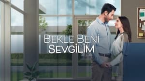 Bekle Beni Sevgilim