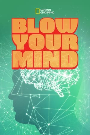 Poster Blow Your Mind 2013