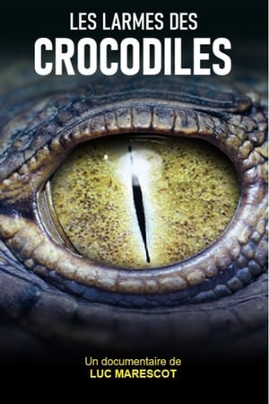 Les larmes des crocodiles (2012)