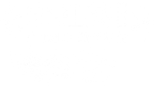 宋祖英2009魅力·中国鸟巢夏季音乐会 — Logos 2