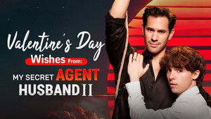 My Secret Agent Husband