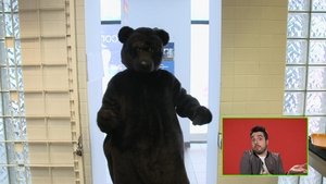 Cochon dingue: 1×31