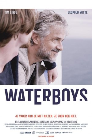 Waterboys poster