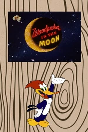 Woodpecker in the Moon poster