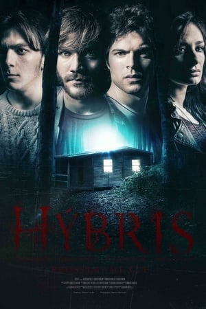 Poster Hybris 2015