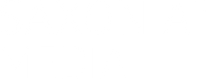 Logo Saxonia Media