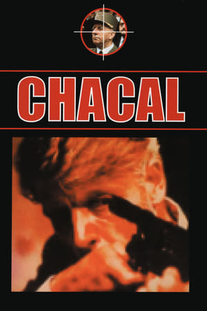 Poster Chacal 1973
