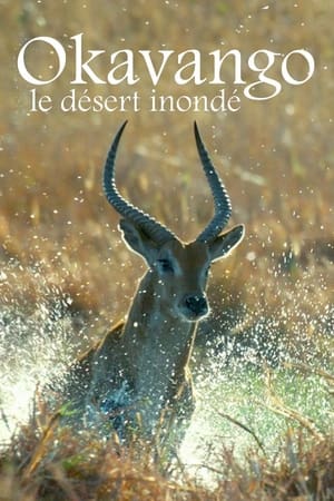 Poster Okavango, le désert inondé 2021