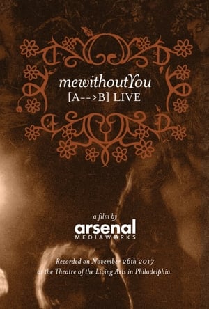 Poster mewithoutYou [ A → B ] Live 2018