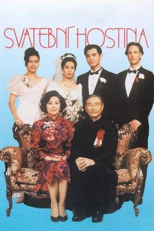 Poster Svatební hostina 1993