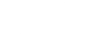 Blue Building Detectives — Logos 4