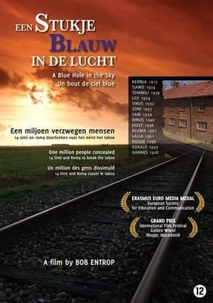 Poster Een stukje blauw in de lucht 2007