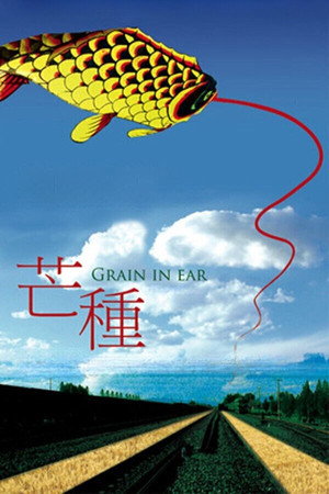Grain in Ear 12