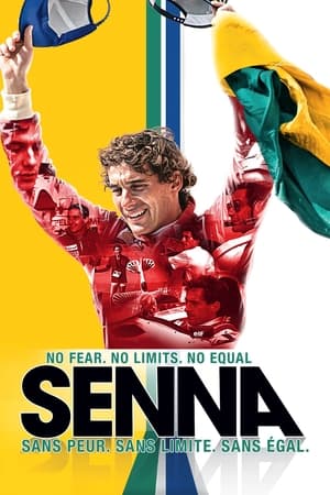 Poster Senna 2010