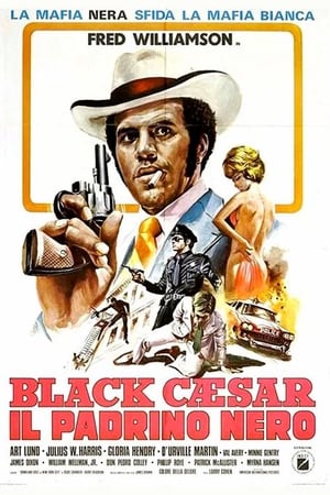 Image Black Caesar - Il Padrino nero