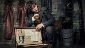 Les Animaux fantastiques : Les Crimes de Grindelwald