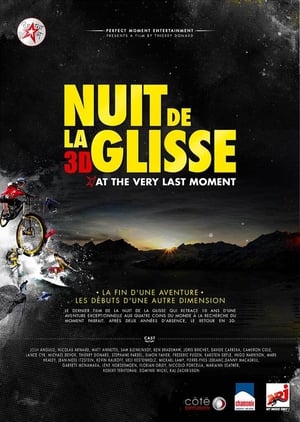 Poster Nuit de la glisse: At the Very Last Moment 2011