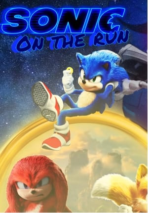 Sonic: On The Run