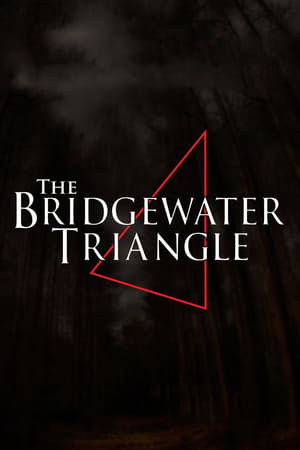 Image The Bridgewater Triangle