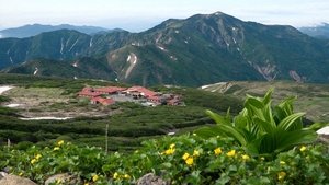 Journeys in Japan: 12×19