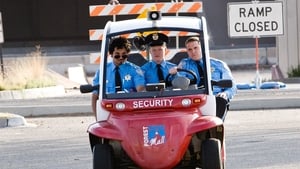 Observe and Report 2009