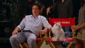 Drop Dead Diva: 2×13