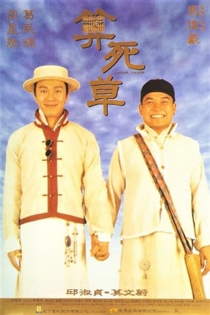 Poster Trạng Sư Xảo Quyệt 1997