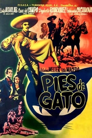 Pies de gato poster