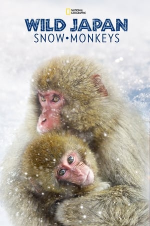 Image Снежные обезьяны
