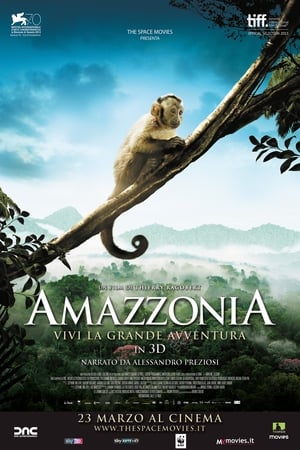 Poster di Amazzonia