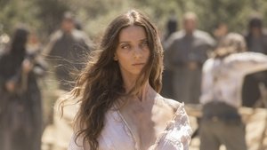 Westworld – Dove tutto è concesso 2 x 3