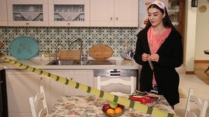 Aslan Ailem: 1×16