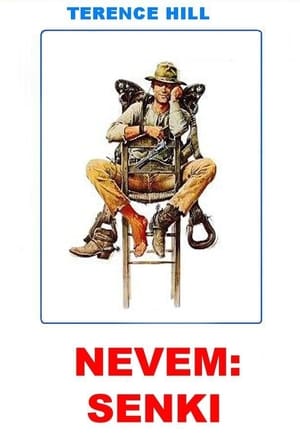 Poster Nevem Senki 1973
