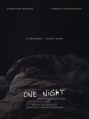 Poster One Night 2016