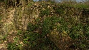 Image Buck Mill, Somerset - Search for the Domesday Mill