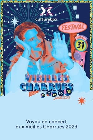 Poster Voyou en concert aux Vieilles Charrues 2023 2023